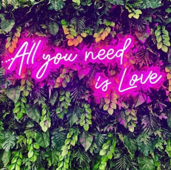 all you need is love neon sign