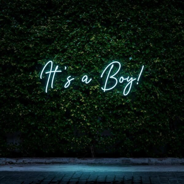 its a boy neon sign